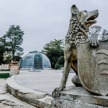 Преподаватель Открытой школы фотографии Артем Горланов